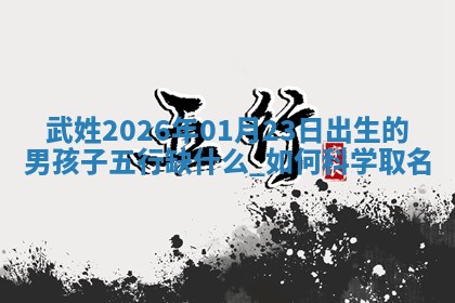 朱姓2026年01月15日出生的男孩子命理分析与起名攻略