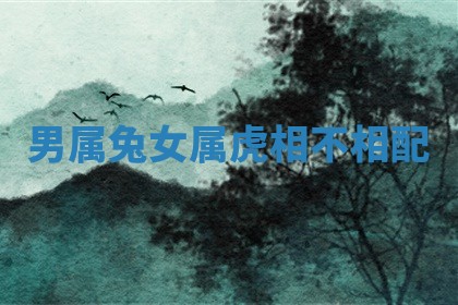 朱姓2026年01月15日出生的男孩子命理分析与起名攻略