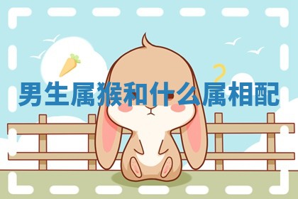 2026年03月01日出生的卢姓男孩子取名指南：吉祥好听的名字推荐