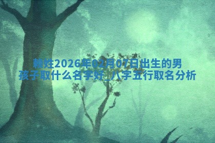 雷姓女宝宝起名必看：2026年01月31日生辰八字喜用神与取名建议