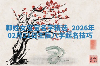 朱姓2026年01月15日出生的男孩子命理分析与起名攻略