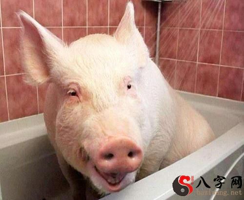 梦见自己在洗澡