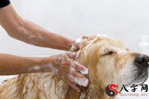 梦见在家里洗澡