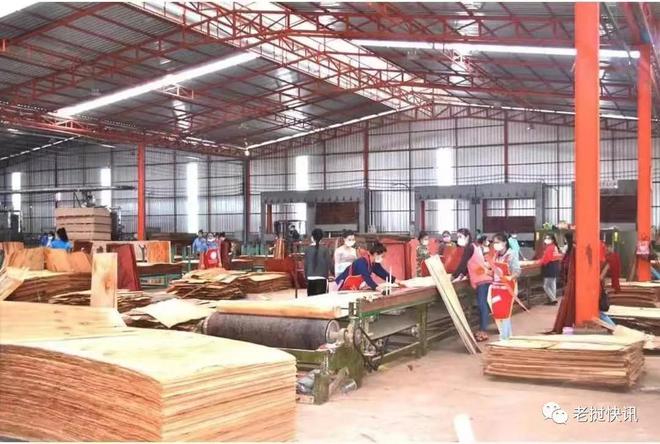 木材厂出口价值100多万美元赛博体育的成型木材(图2)