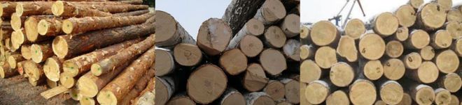 以木为舟扬波淮海：工业木材出口有限公司在徐州讲述“木业赛博体育新动能”(图4)