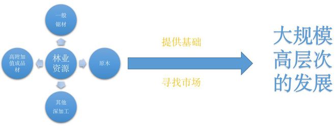 以木为舟扬波淮海：工业木材出口有限公司在徐州讲述“木业赛博体育新动能”(图14)