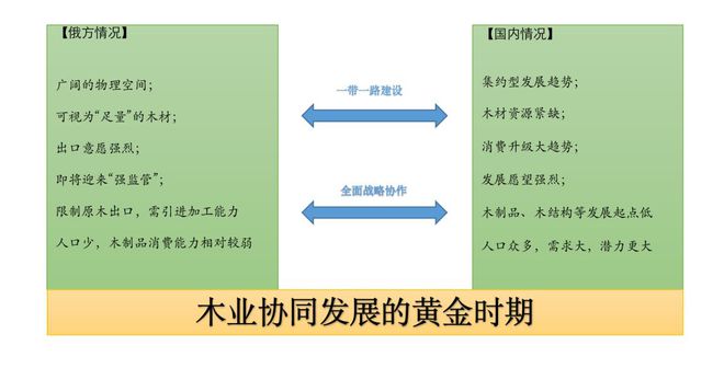 以木为舟扬波淮海：工业木材出口有限公司在徐州讲述“木业赛博体育新动能”(图15)