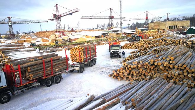 以木为舟扬波淮海：工业木材出口有限公司在徐州讲述“木业赛博体育新动能”(图19)