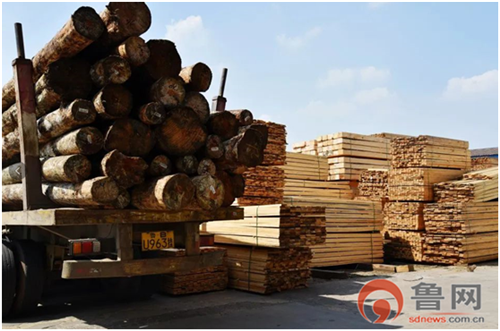 赛博体育山东自贸区青岛片区内的北方木材交易中心：打造木材交易的“沃尔玛”(图4)