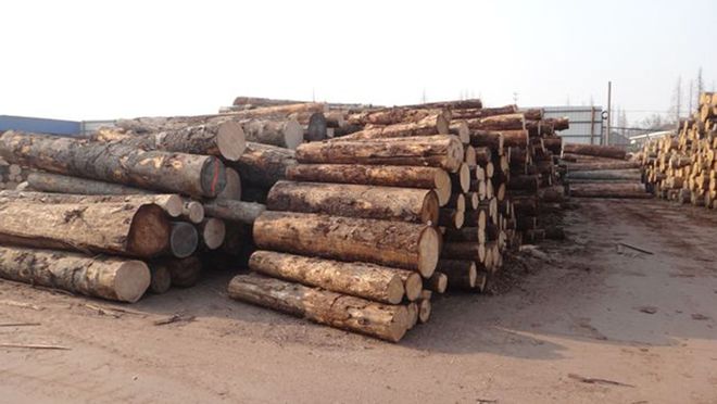 中国最牛木材帮占据全国木材市场70%的份额把控赛博体育整个木业市场(图6)