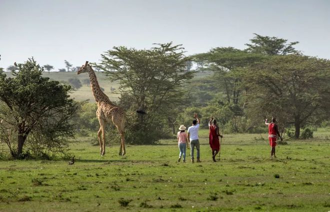 赛博体育这组在肯尼亚拍到的动物照片太罕见连外媒都报道失误一起来看(图18)