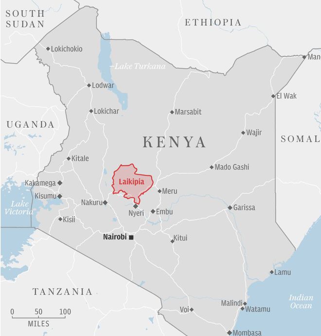 赛博体育这组在肯尼亚拍到的动物照片太罕见连外媒都报道失误一起来看(图9)