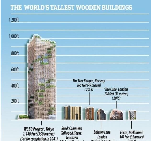 全球最高木制大楼平均1米耗资1亿网友：那就叫“佐佐木”吧！赛博体育(图2)