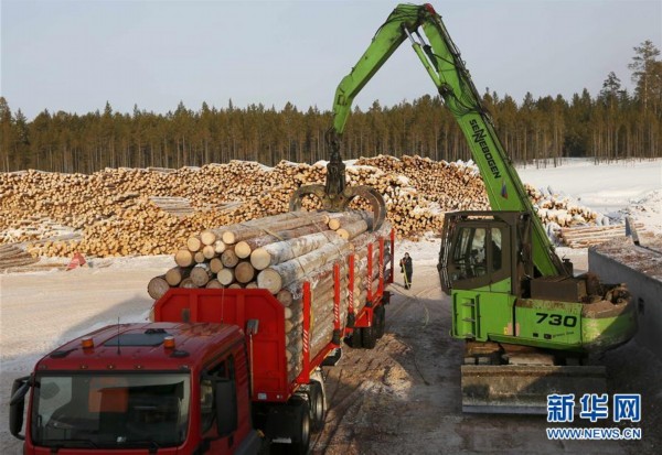 俄罗斯著名北方针叶林木材生产地（高清组图）赛博体育(图4)