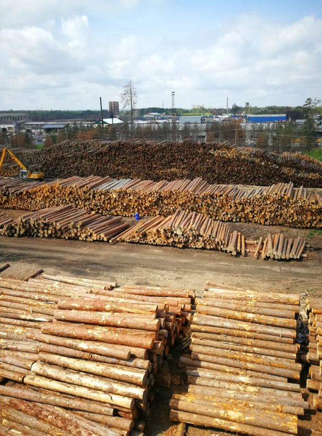 中国人扎根赛博体育俄罗斯成木业巨头是怎么做到的？(图6)