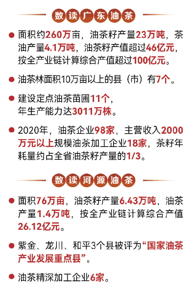 广东全产业链打造油茶“金山银山”-广东省农业农村厅赛博体育(图1)