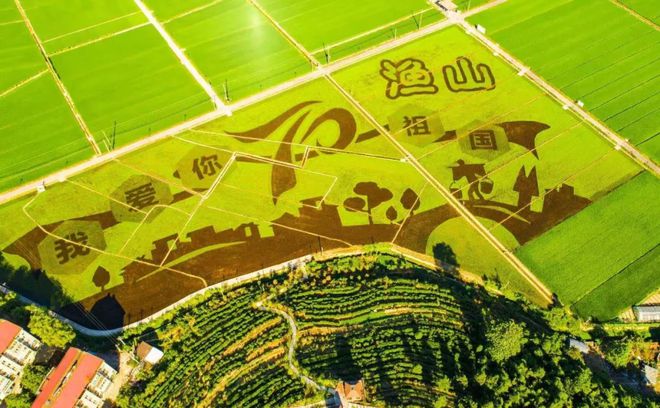 疯狂稻草集结！大杭州赛博体育首个稻草艺术乐园即将亮相！(图1)
