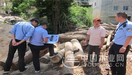 云南大关清理木材加工厂9家赛博体育(图2)
