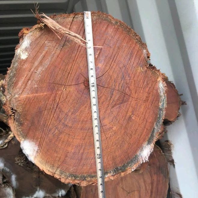 赛博体育澳洲酸枝是什么木头？它是红木吗？(图1)