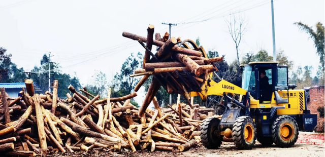 赛博体育宜宾市南溪区天来农业发展有限公司木材加工厂正式投产(图2)