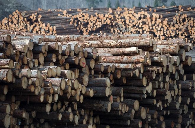 欧洲将超越加拿大成为美国进口木材供应商(图4)