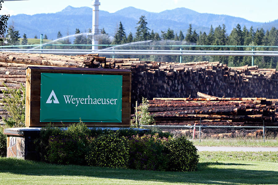 最新全球十大木材企业！你能猜中几个？(图4)
